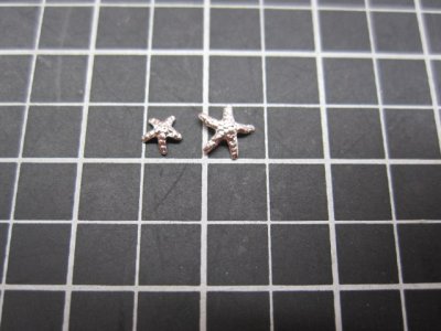 画像2: starfishの金属片