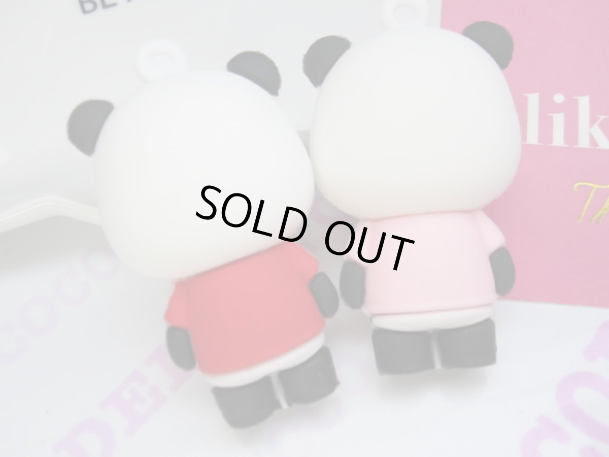 画像2: カメラマンパンダ (2)