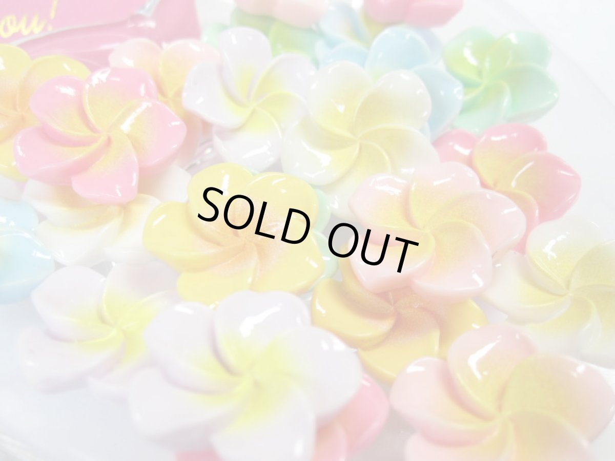 画像2: プルメリア小21個 (2)